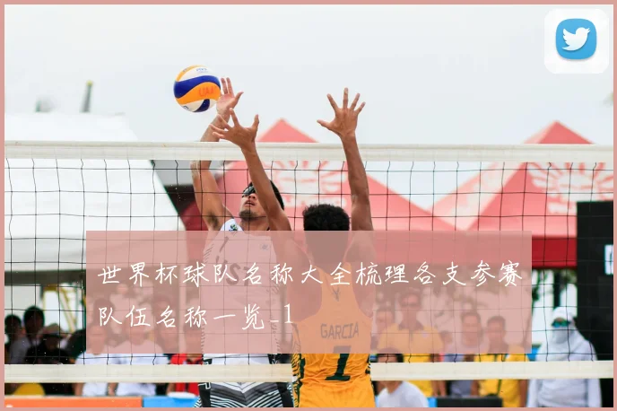 世界杯球队名称大全梳理各支参赛队伍名称一览_1