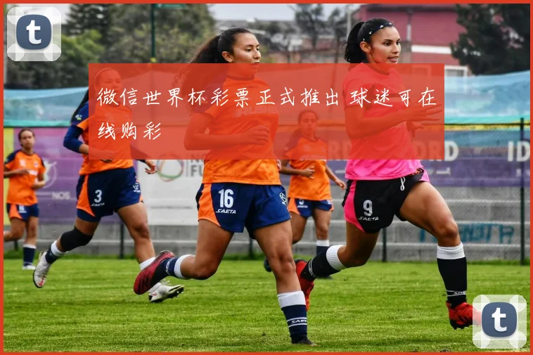 微信世界杯彩票正式推出 球迷可在线购彩