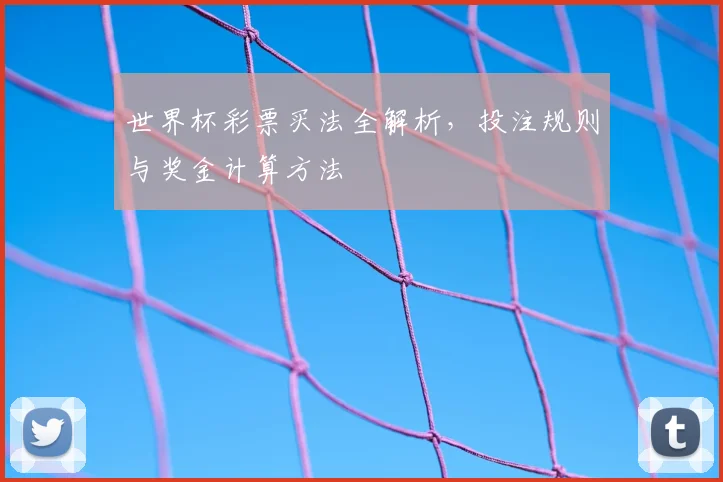 世界杯彩票买法全解析，投注规则与奖金计算方法
