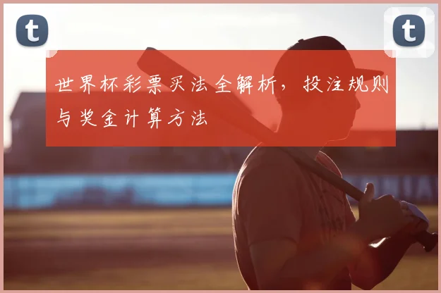 世界杯彩票买法全解析，投注规则与奖金计算方法
